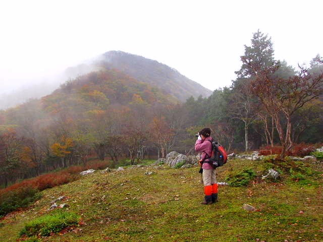 �O�˂������o�����B